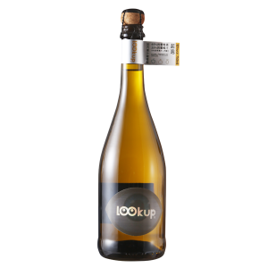 20240119083042_7483 lookup加汽果汁白葡萄酒